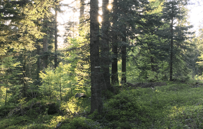 Capture d_écran 2017-05-14 à 19.46.32