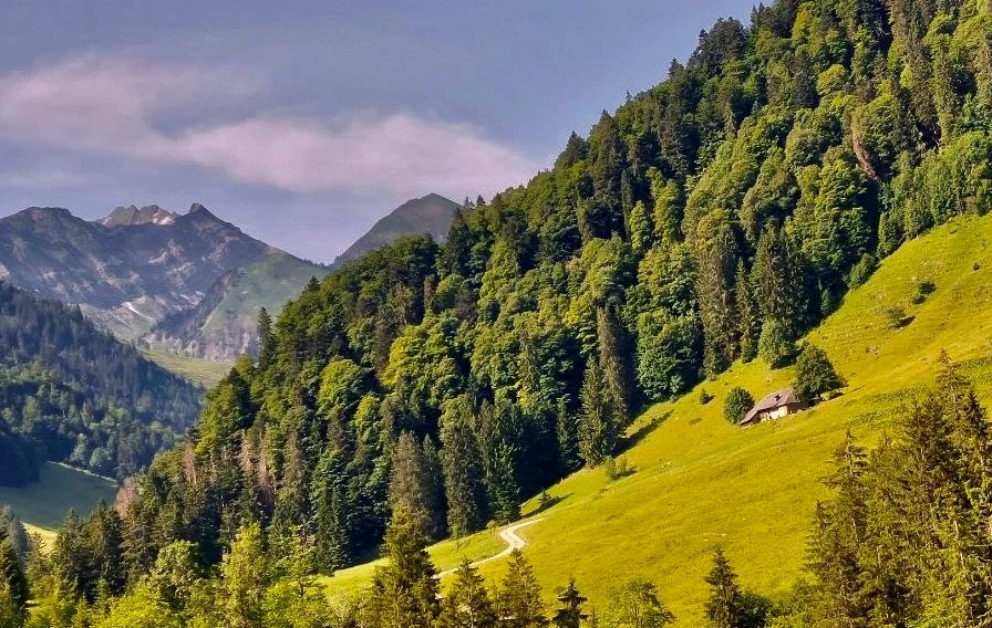 vallee montelon gruyere